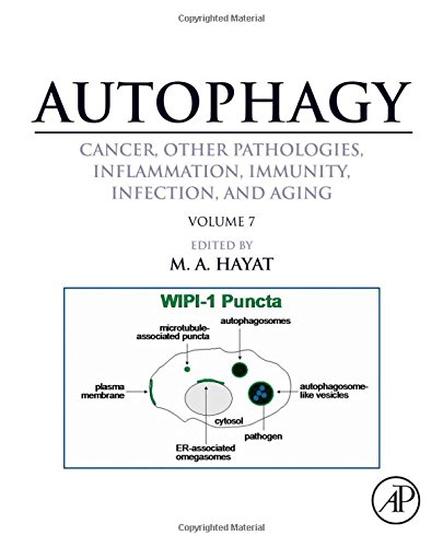 Autophagy Cancer Other Pathologies Inflammation Immunity Infection And Aging Volume 7 Role Of Autophagy In Therapeutic Applications 1st Edition M A Hayat