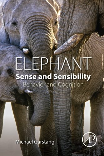 Elephant Sense And Sensibility 1st Edition Michael Garstang