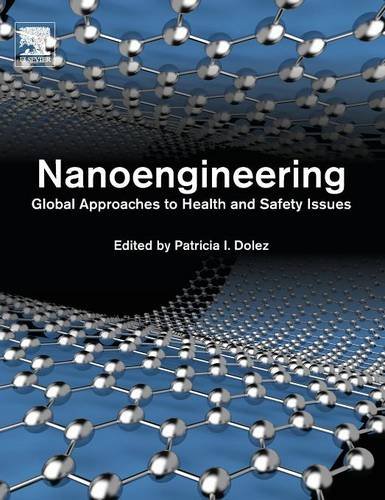 Nanoengineering Global Approaches To Health And Safety Issues 1st Edition Patricia I Dolez