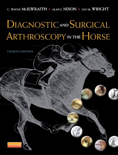 Diagnostic And Surgical Arthroscopy In The Horse 4e 4th Edition C Wayne Mcilwraith Bvsc Phd Dsc Frcvs Diplomate Acvs Diplomate Ecvs Diplomate Acvsmr