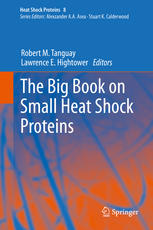 The Big Book On Small Heat Shock Proteins 1st Edition Robert M Tanguay