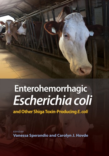 Enterohemorrhagic Escherichia Coli And Other Shiga Toxinproducing E Coli Hovde