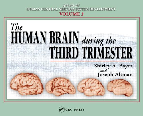 Atlas Of Human Central Nervous System Development The Human Brain During The Third Trimester 1st Shirley A Bayer