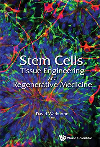 Stem Cells Tissue Engineering And Regenerative Medicine 1st Edition David Warburton
