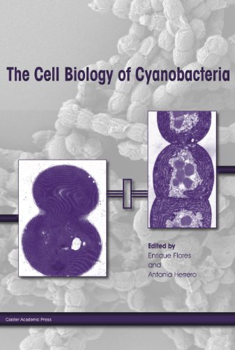 The Cell Biology Of Cyanobacteria Enrique Flores Antonia Herrero