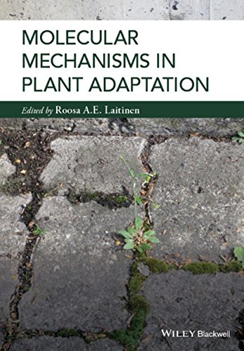Molecular Mechanisms In Plant Adaptation 1st Edition Roosa Laitinen