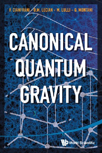 Canonical Quantum Gravity Fundamentals And Recent Developments 1st Edition Francesco Cianfrani