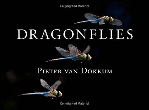 Dragonflies Magnificent Creatures Of Water Air And Land Pieter Van Dokkum