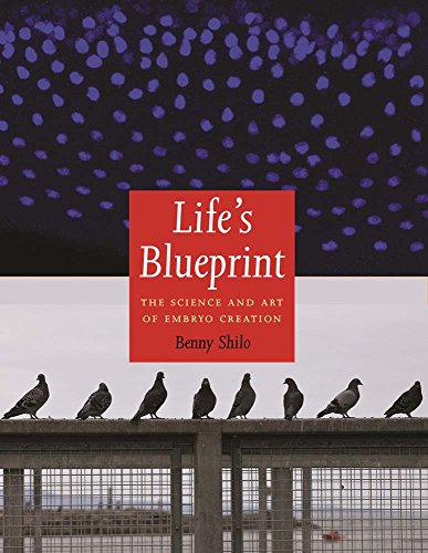 Lifes Blueprint The Science And Art Of Embryo Creation 1st Edition Benny Shilo