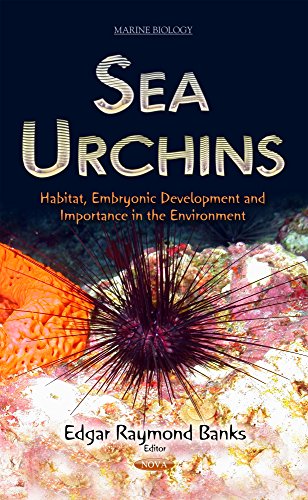 Sea Urchins Habitat Embryonic Development And Importance In The Environment Edgar Raymond Banks