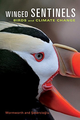 Winged Sentinels Birds And Climate Change 1st Edition Janice Wormworth