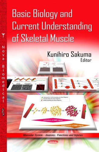 Basic Biology And Current Understanding Of Skeletal Muscle 1st Edition Kunihiro Sakuma