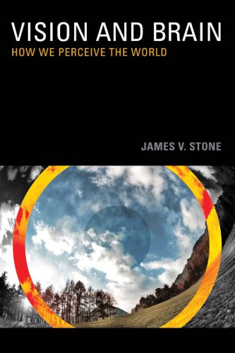Vision And Brain How We Perceive The World 1st James V Stone