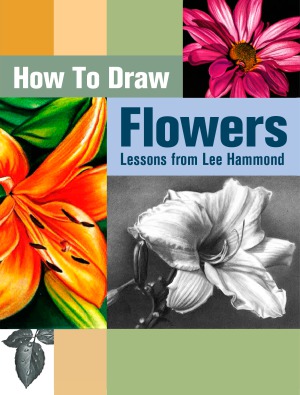 How To Draw Flowers Lessons From Lee Hammond Hammond Lee