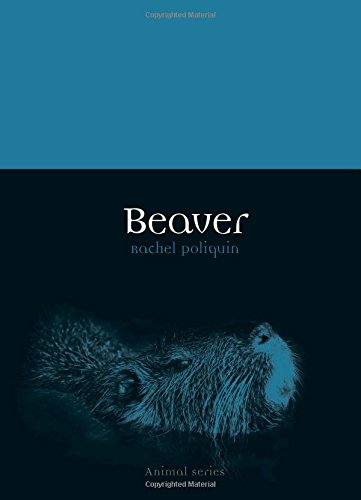 Beaver Rachel Poliquin