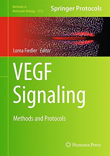 Vegf Signaling Methods And Protocols Lorna Fiedler