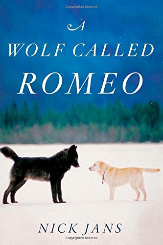 A Wolf Called Romeo Nick Jans