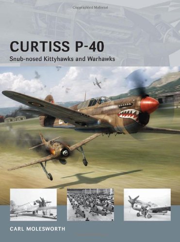 Curtiss P40 Snubnosed Kittyhawks Warhawks Osprey Air Vanguard 11 Carl Molesworth