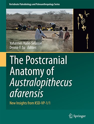 The Postcranial Anatomy Of Australopithecus Afarensis Yohannes Haileselassie