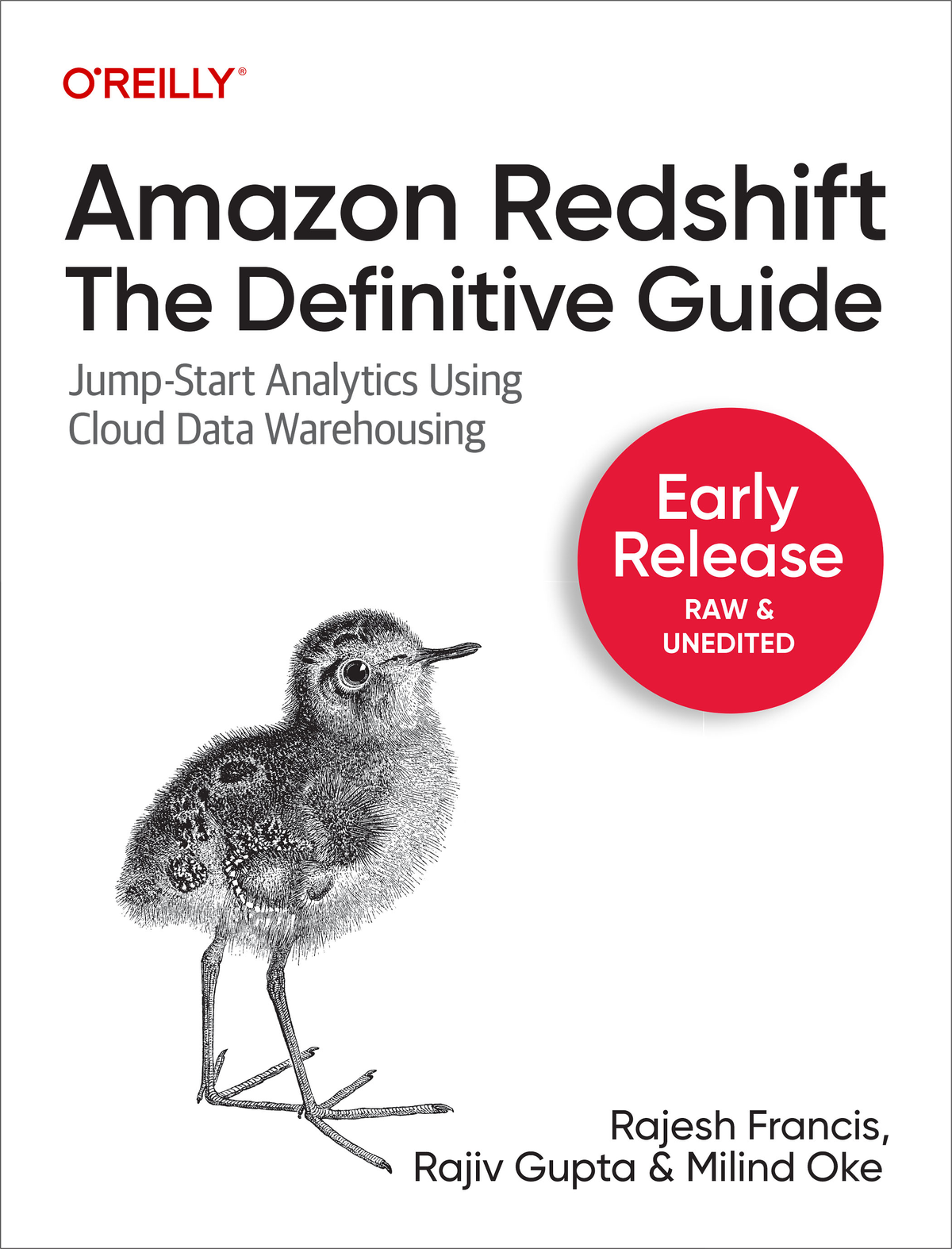 Amazon Redshift The Definitive Guide First Early Release Rajesh Francis