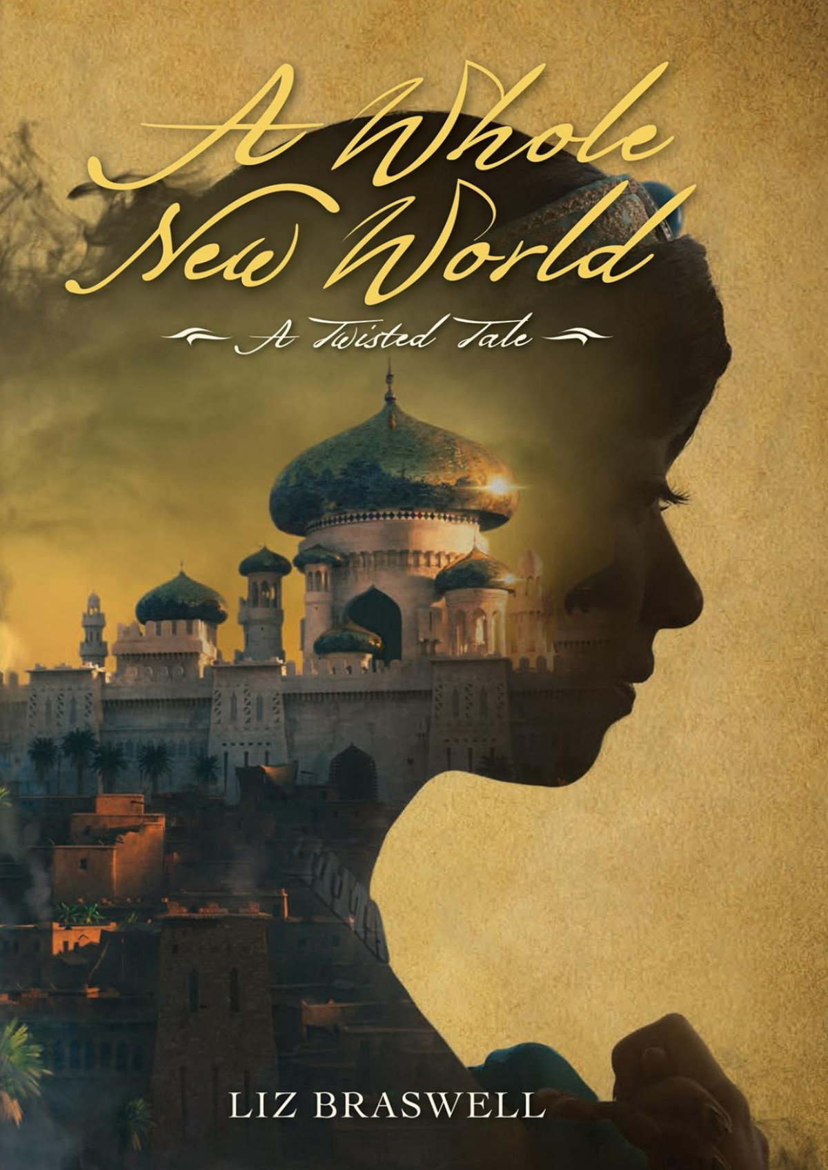 A Whole New World Liz Braswell