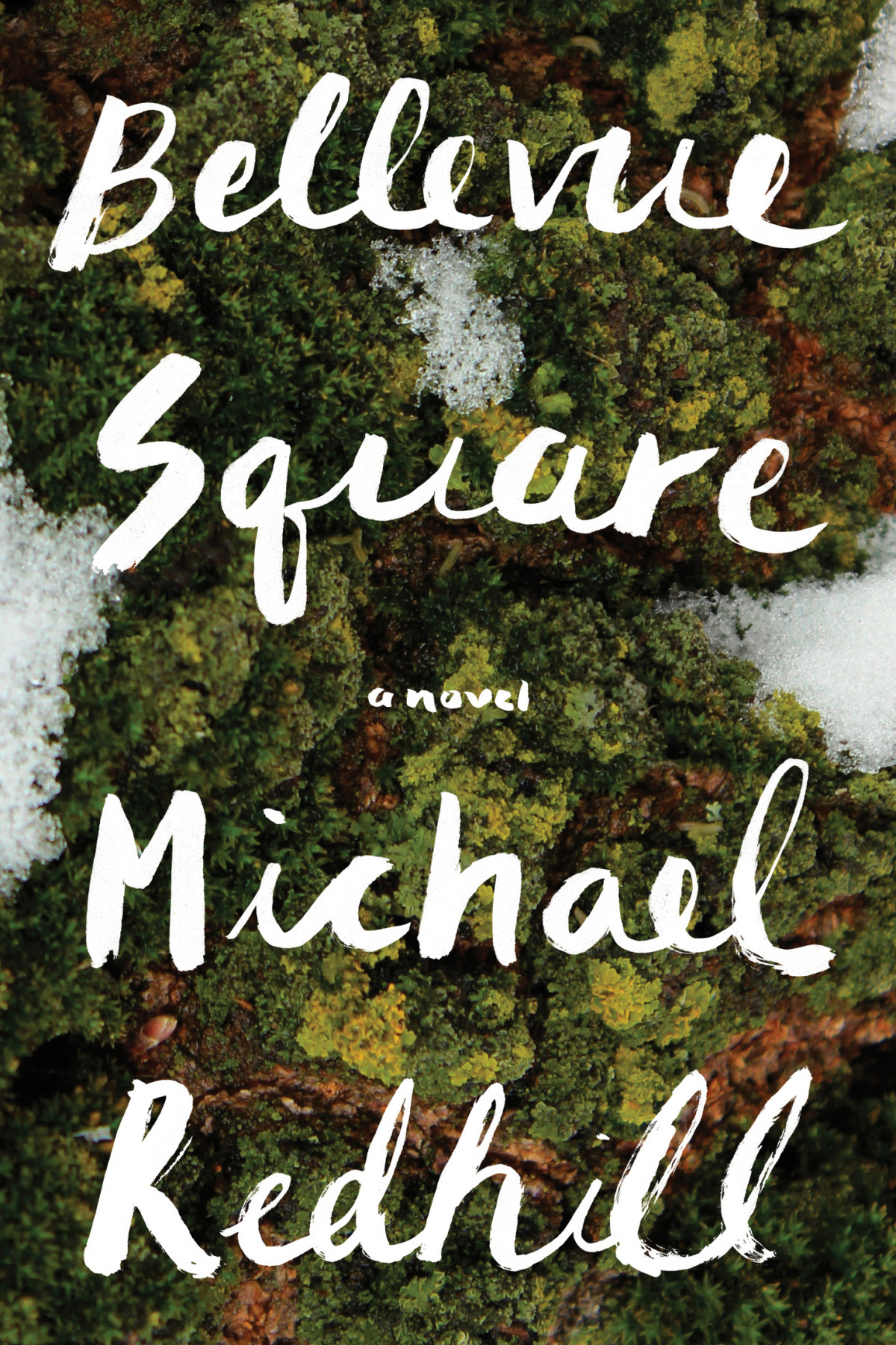 Bellevue Square Michael Redhill