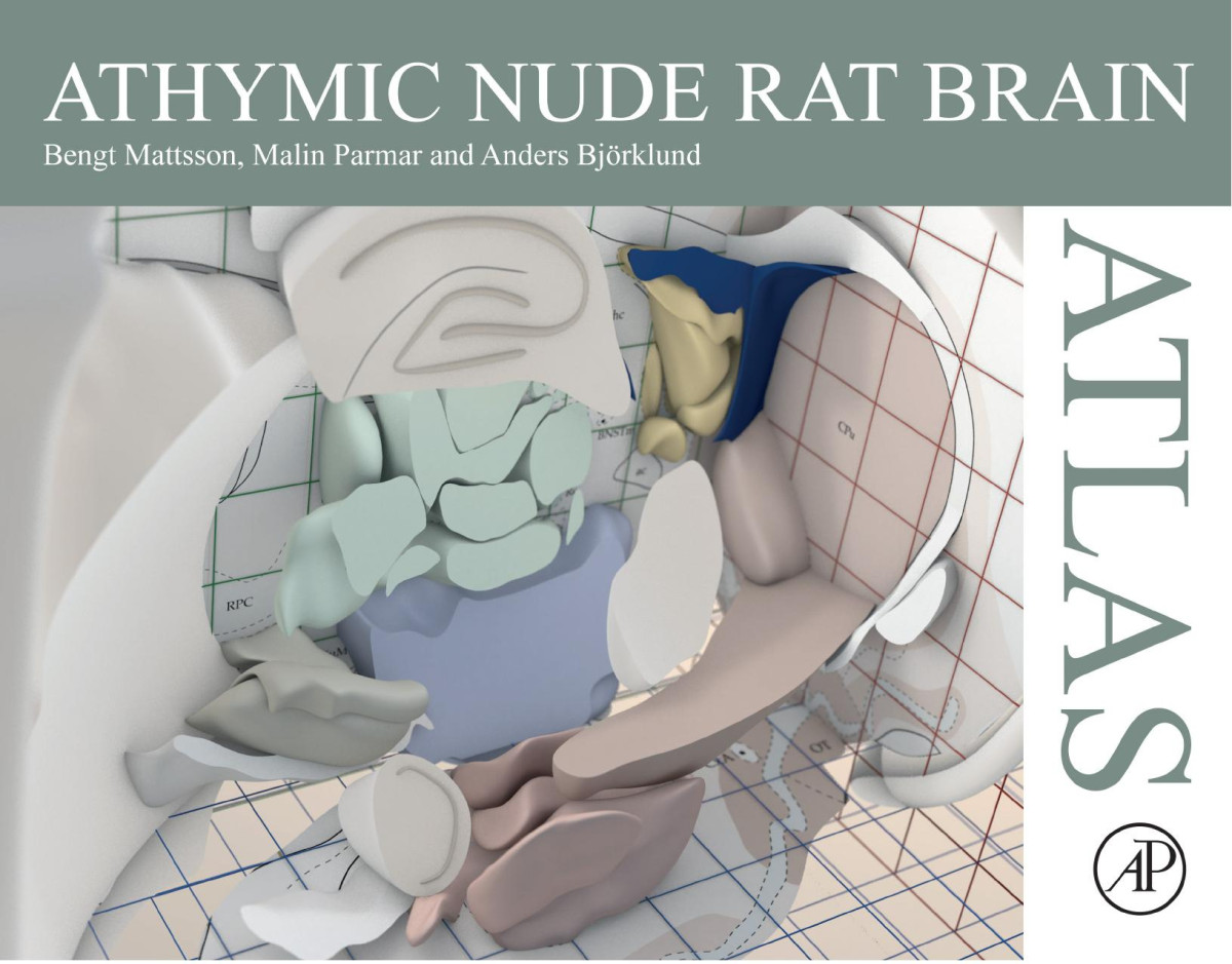 Athymic Nude Rat Brain Atlas Bengt Mattsson Malin Parmar Anders Björklund