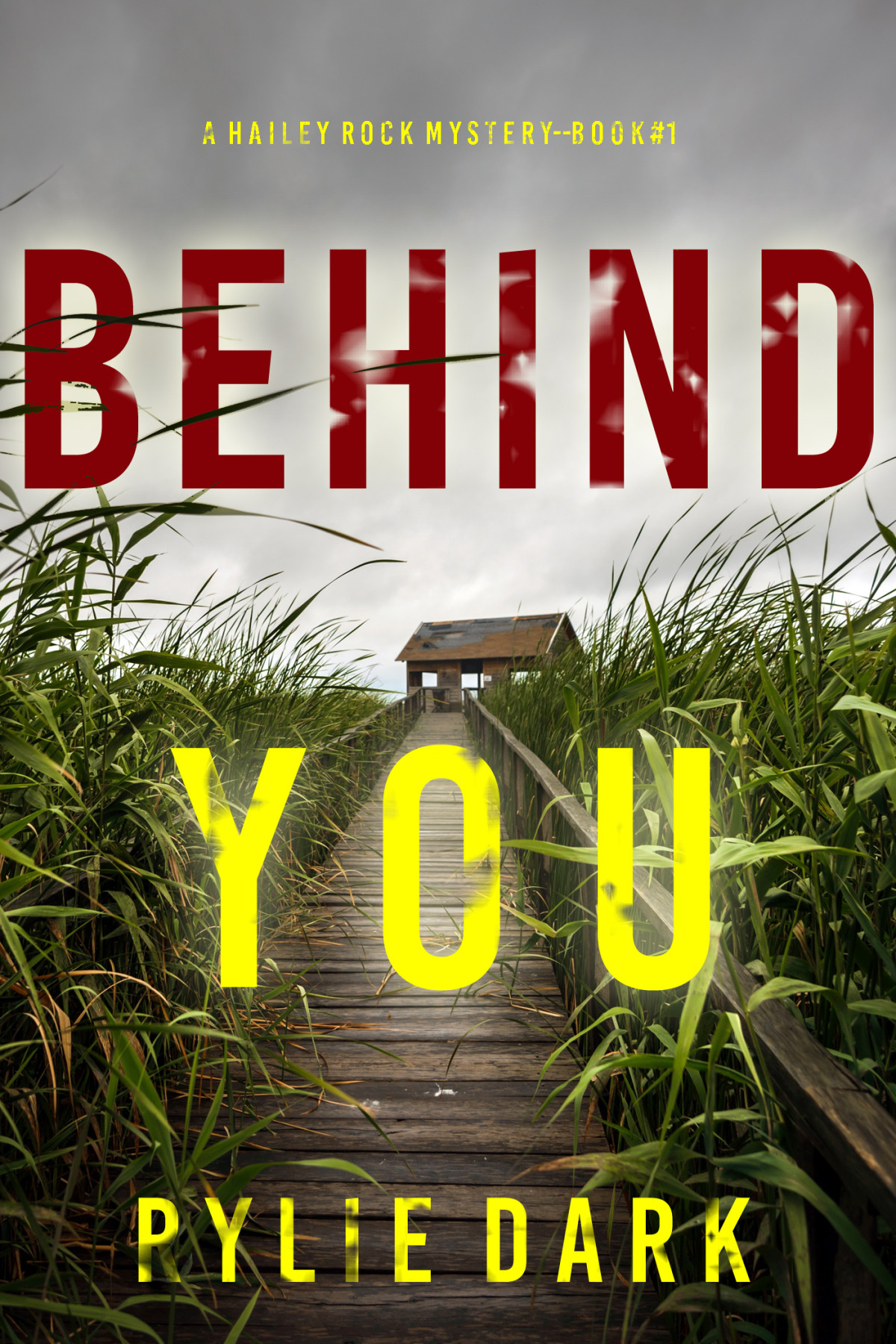 Behind You Rylie Dark