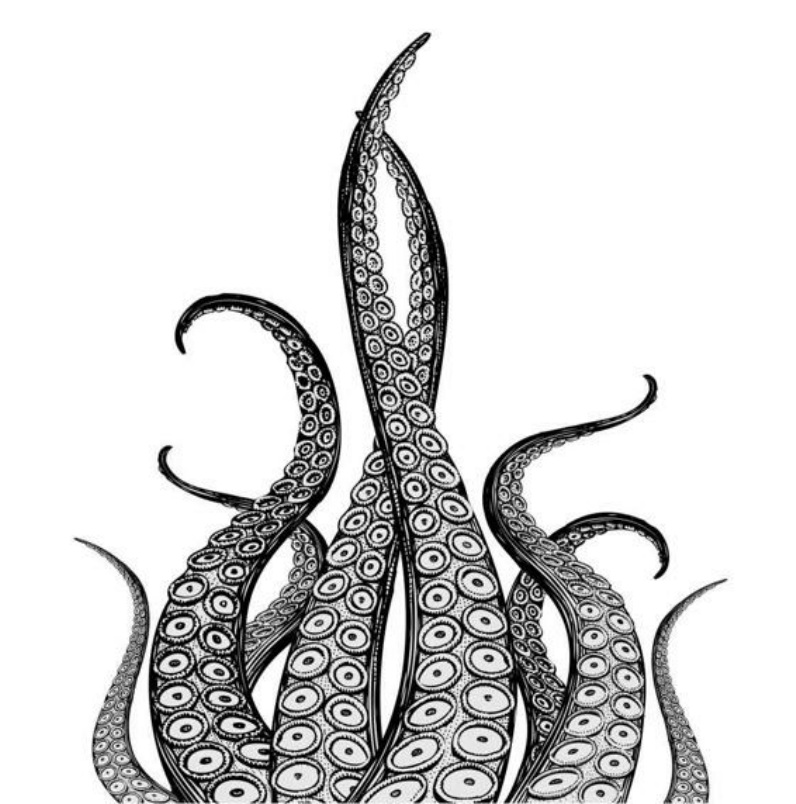 Markov 4 Mm Fated Mates Tangled Tentacles Jp Sayle Lisa Oliver