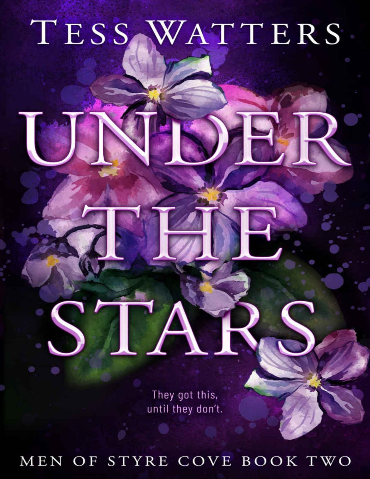Under The Stars Men Of Styre Cove Book 2 Tess Watters