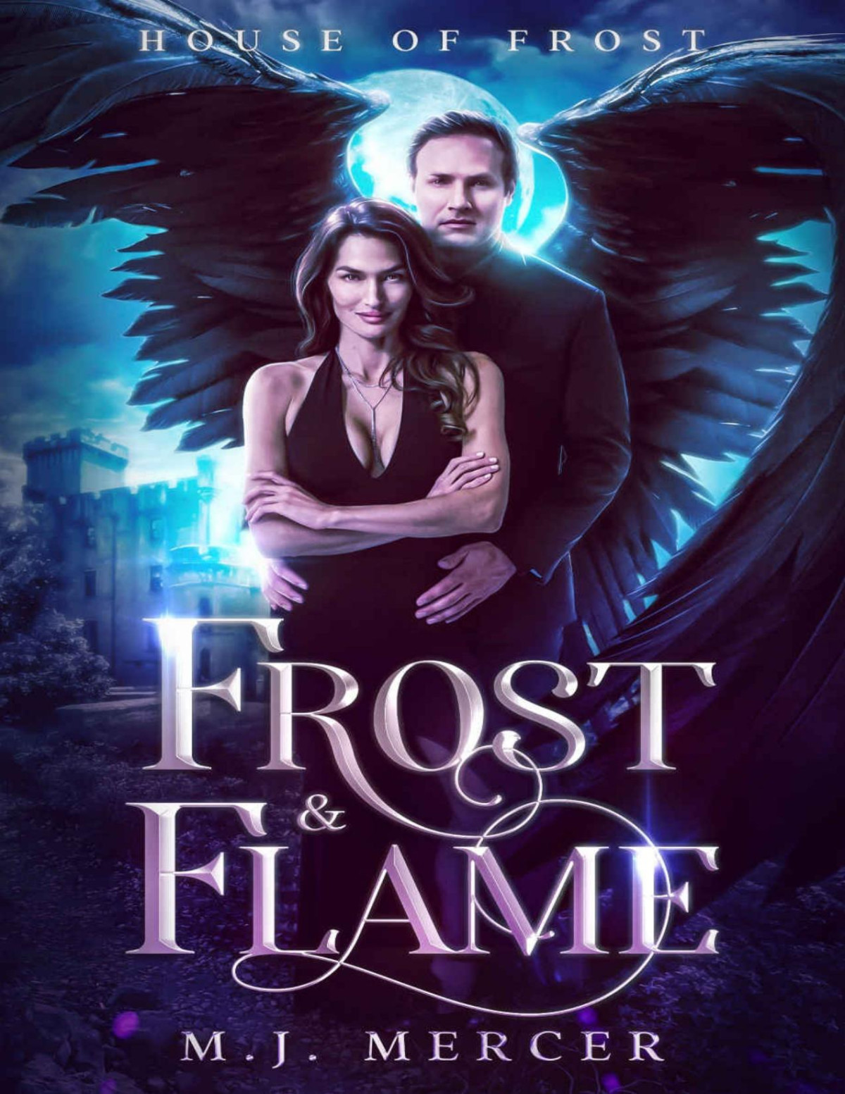 Frost Flame House Of Frost Book 1 Mj Mercer