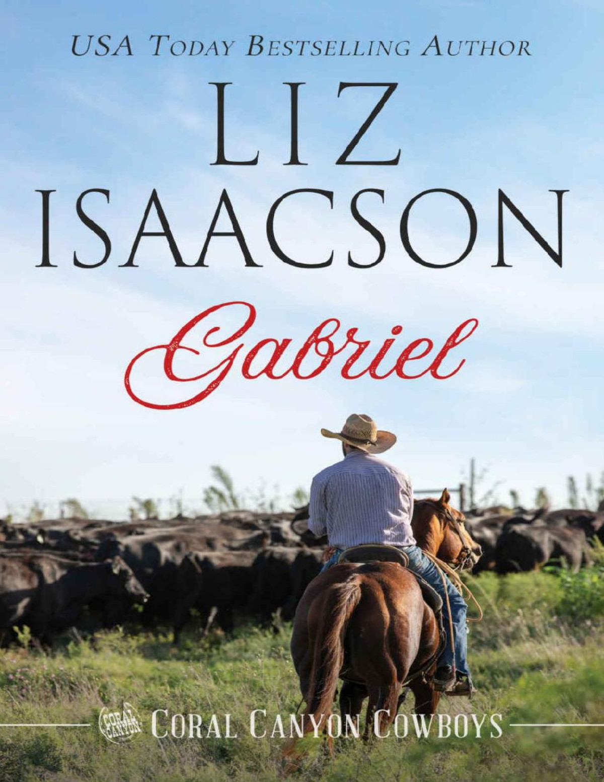 Gabriel A Young Brothers Novel Coral Canyon Cowboys Book 6 Liz Isaacson