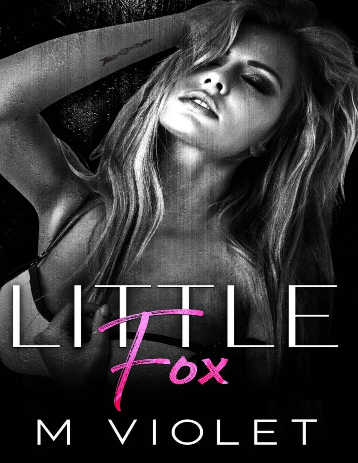 Little Fox A Dark Romance Wickford Hollow Duet Book 2 M Violet