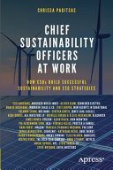 Chief Sustainability Officers At Work Chrissa Pagitsas