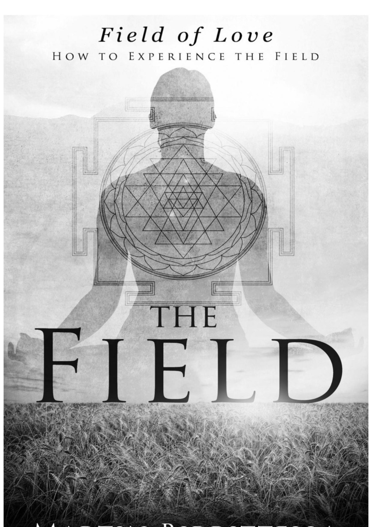 Field Of Love How To Experience The Field Martin Birrittella