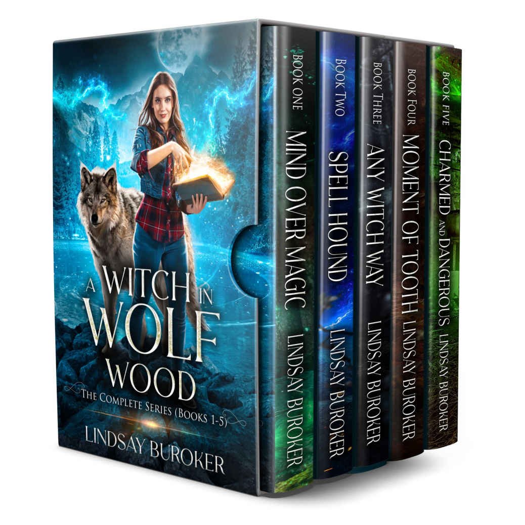 A Witch In Wolf Wood Book 15 The Complete Series Buroker Lindsay