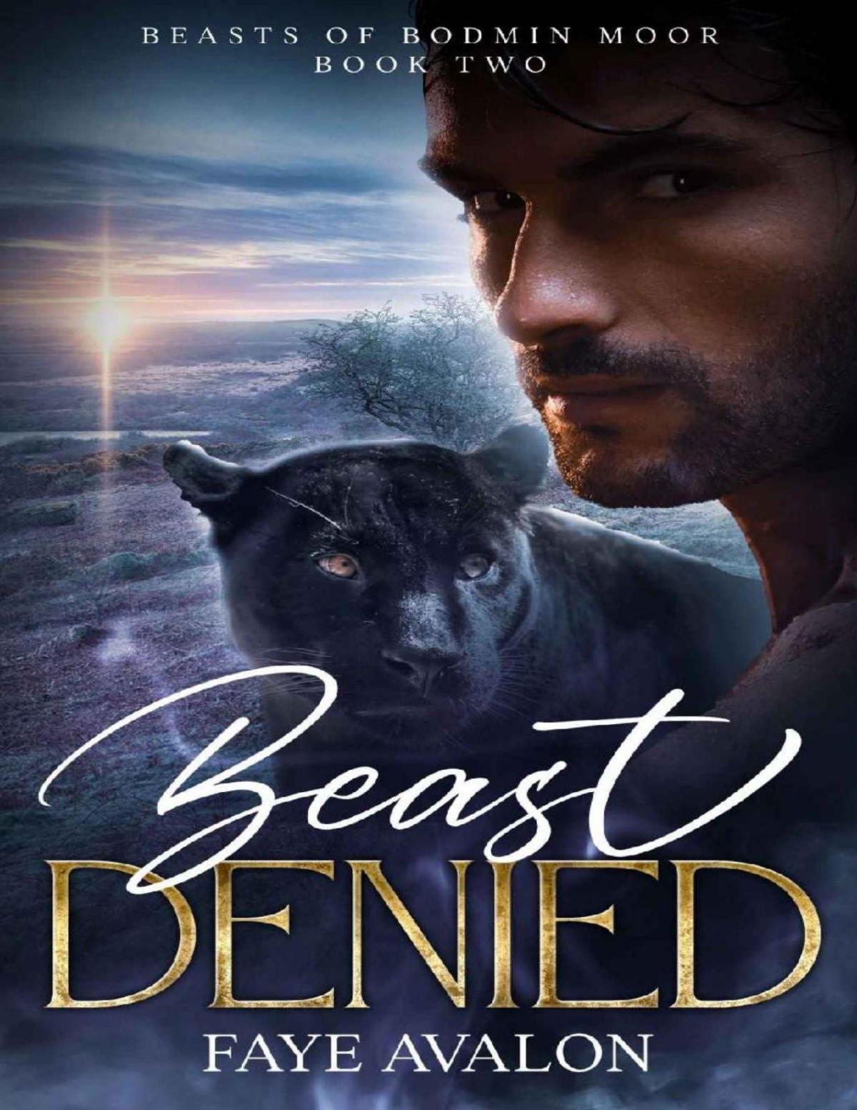Beast Denied Faye Avalon