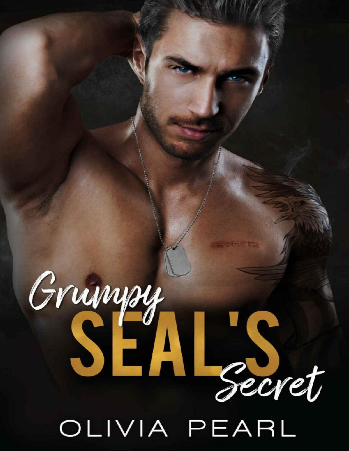Grumpy Seals Secret An Enemies To Lovers Small Town Surprise Pregnancy Romance Olivia Pearl