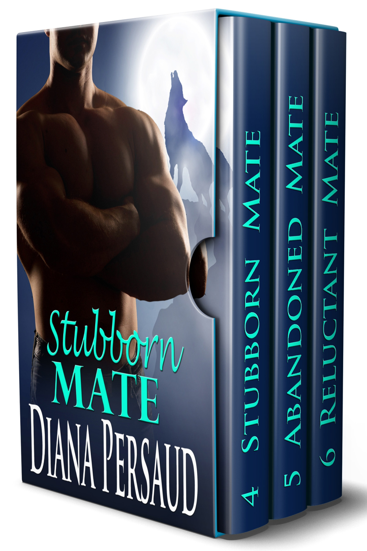 Soul Mates Box Set 46 Diana Persaud