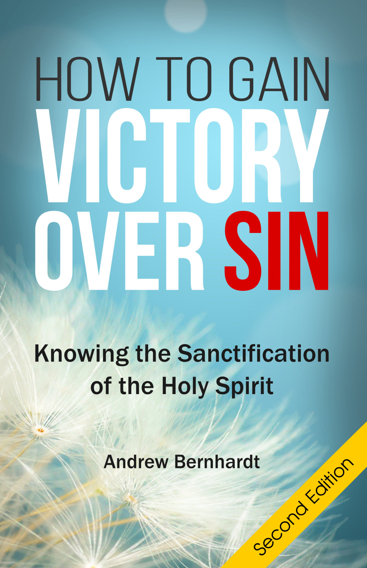How To Gain Victory Over Sin Andrew Bernhardt