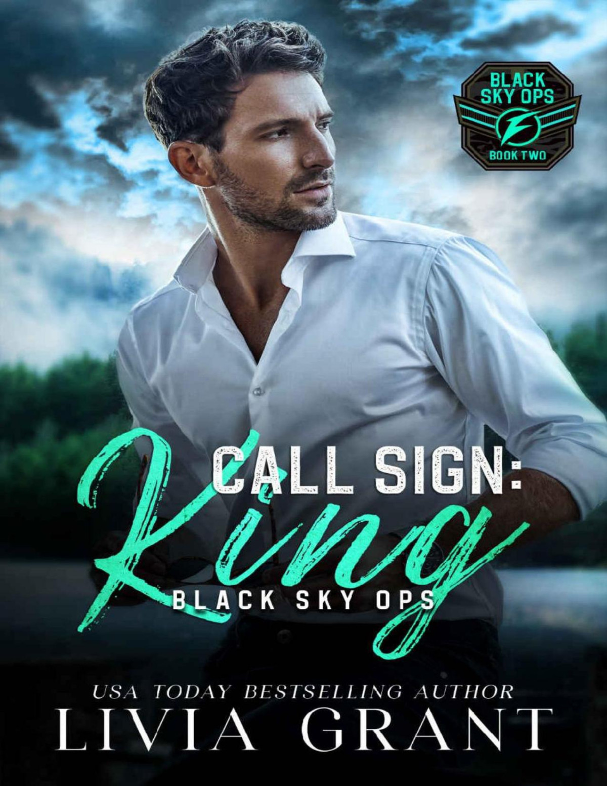 Call Sign King Black Sky Ops Book 2 Livia Grant