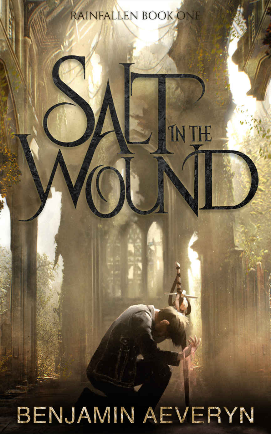 Salt In The Wound Rainfallen Book 1 Benjamin Aeveryn