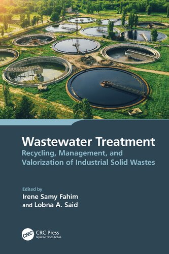 Wastewater Treatment Recycling Management And Valorization Of Industrial Solid Wastes 1st Edition Irene Samy Fahim Editor