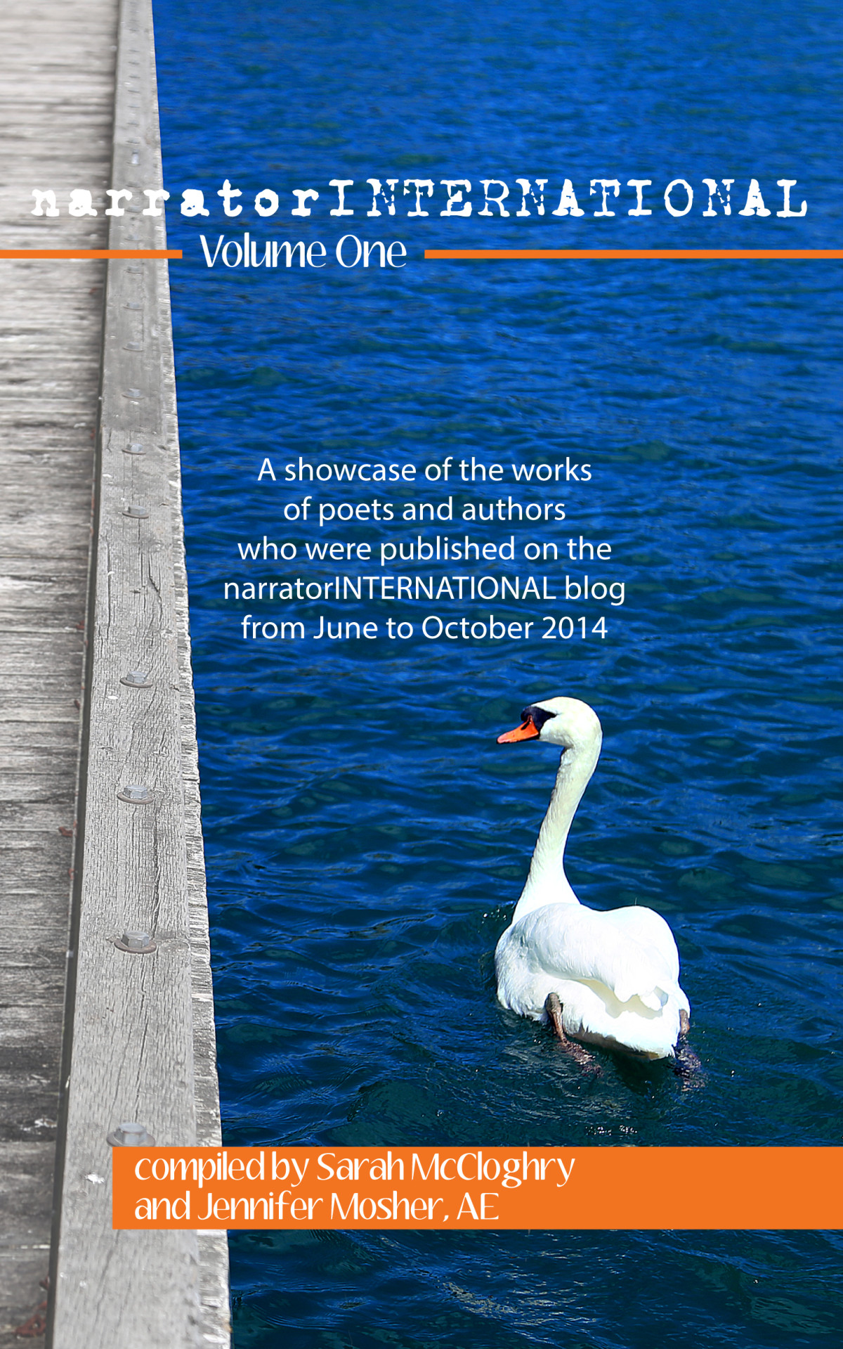 Narratorinternational Various Contributors