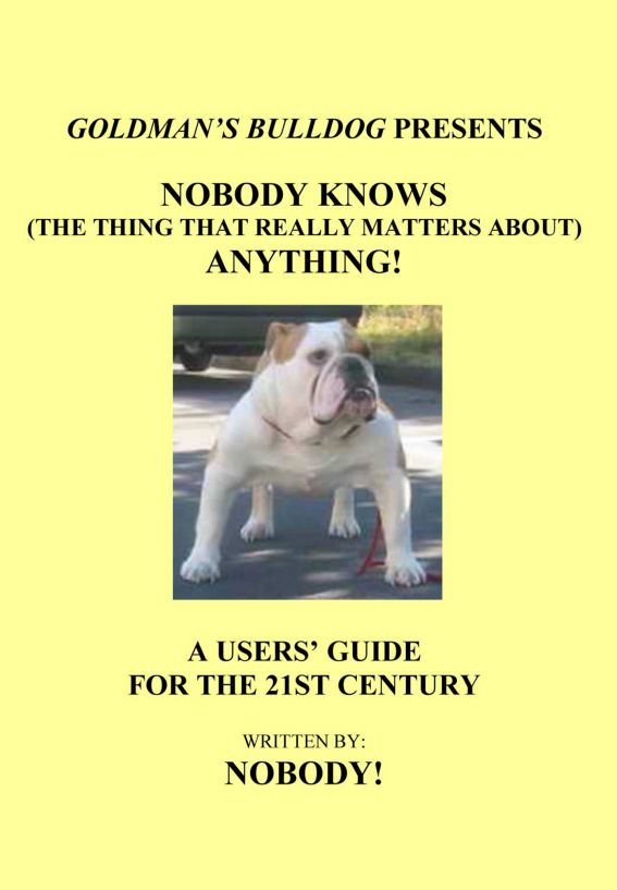 Nobody Knows The Thing That Really Matters About Anything Nobody