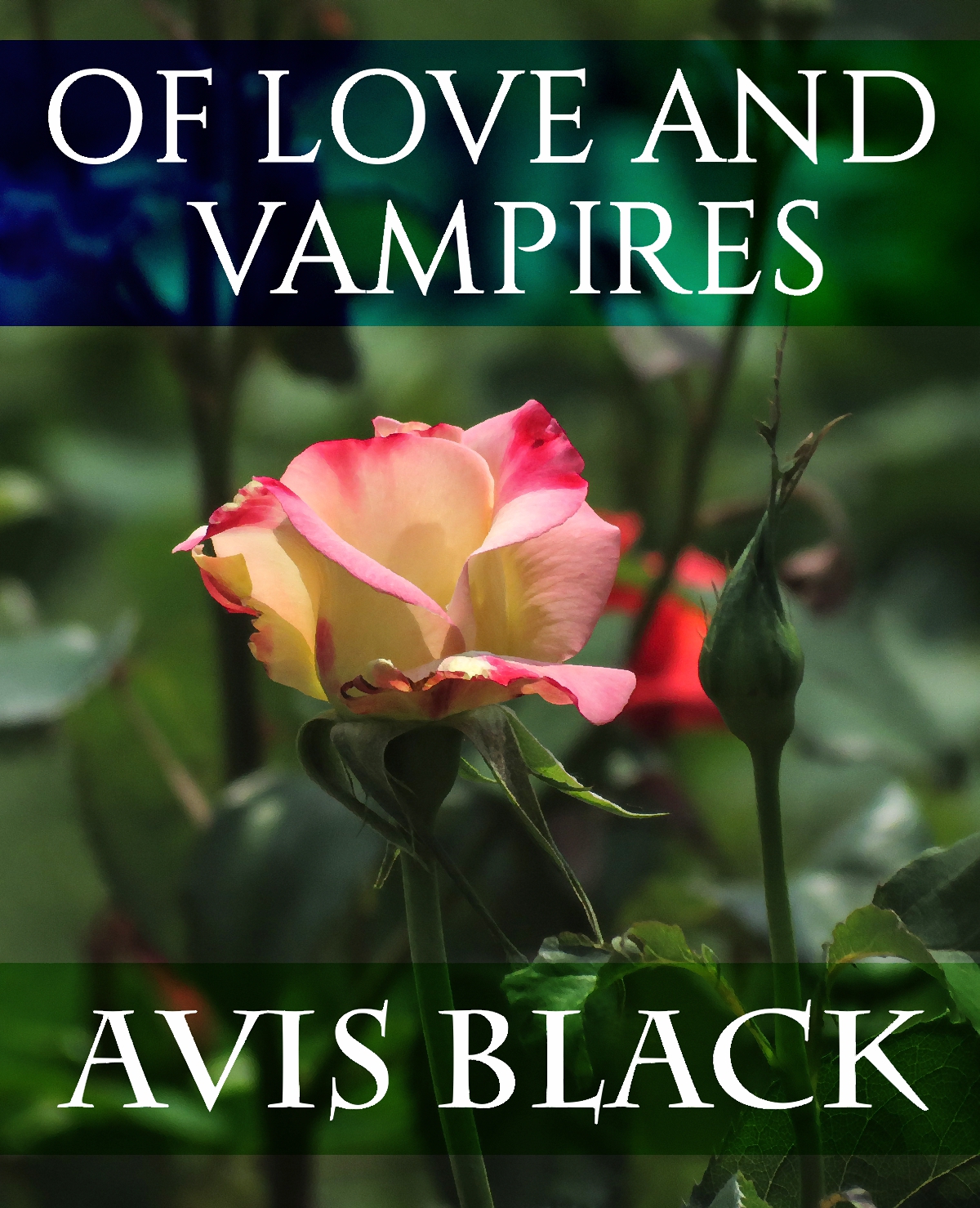 Of Love And Vampires Avis Black