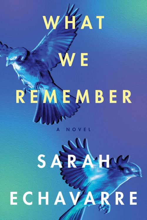 What We Remember A Novel Sarah Echavarre