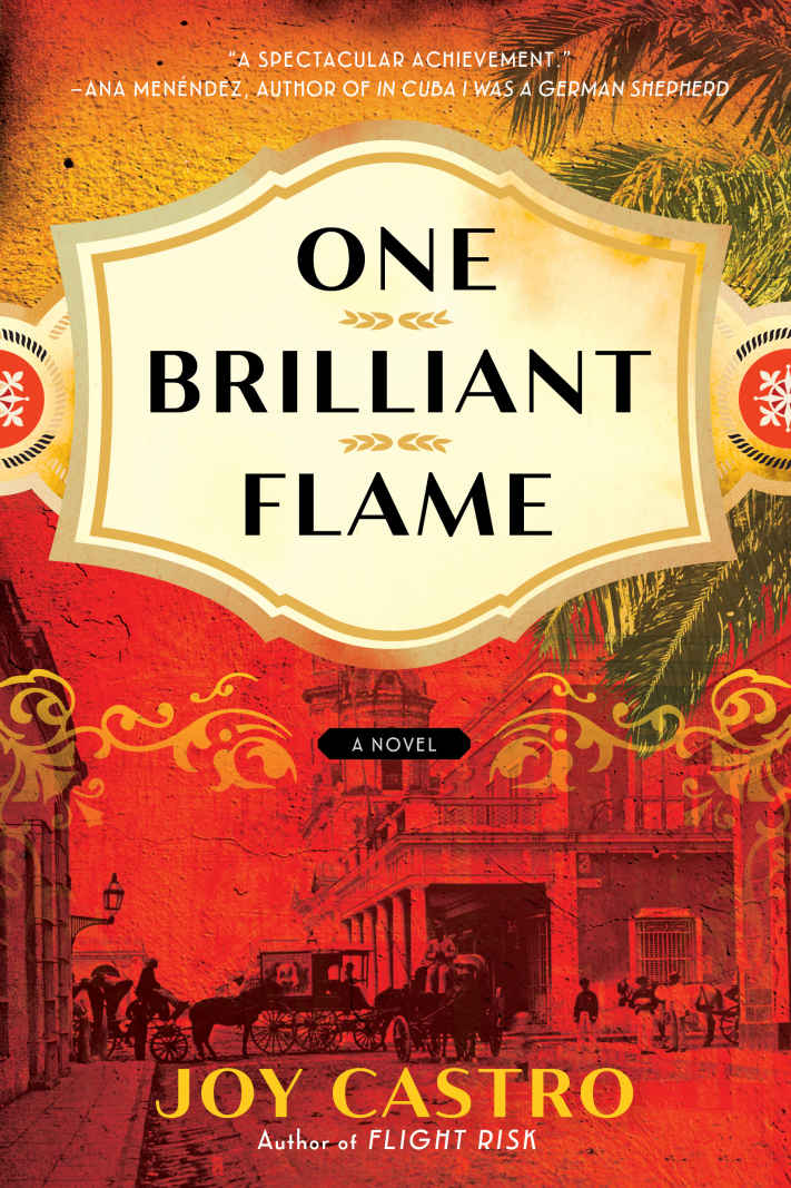 One Brilliant Flame A Novel Castro Joy