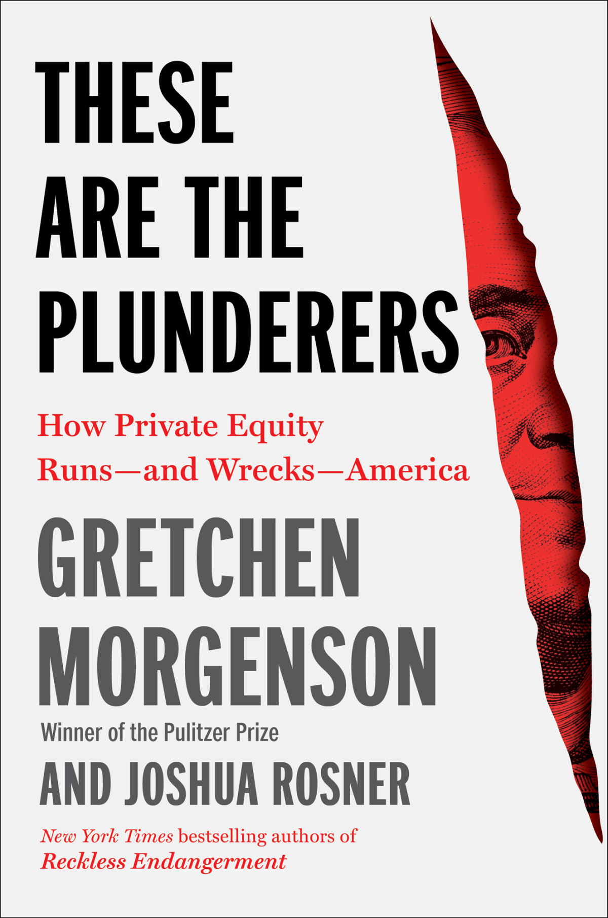 These Are The Plunderers How Private Equity Runsand Wrecksamerica Gretchen Morgenson