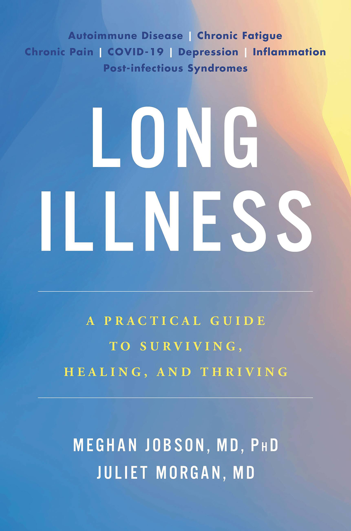 Long Illness A Practical Guide To Surviving Healing And Thriving Meghan Jobson